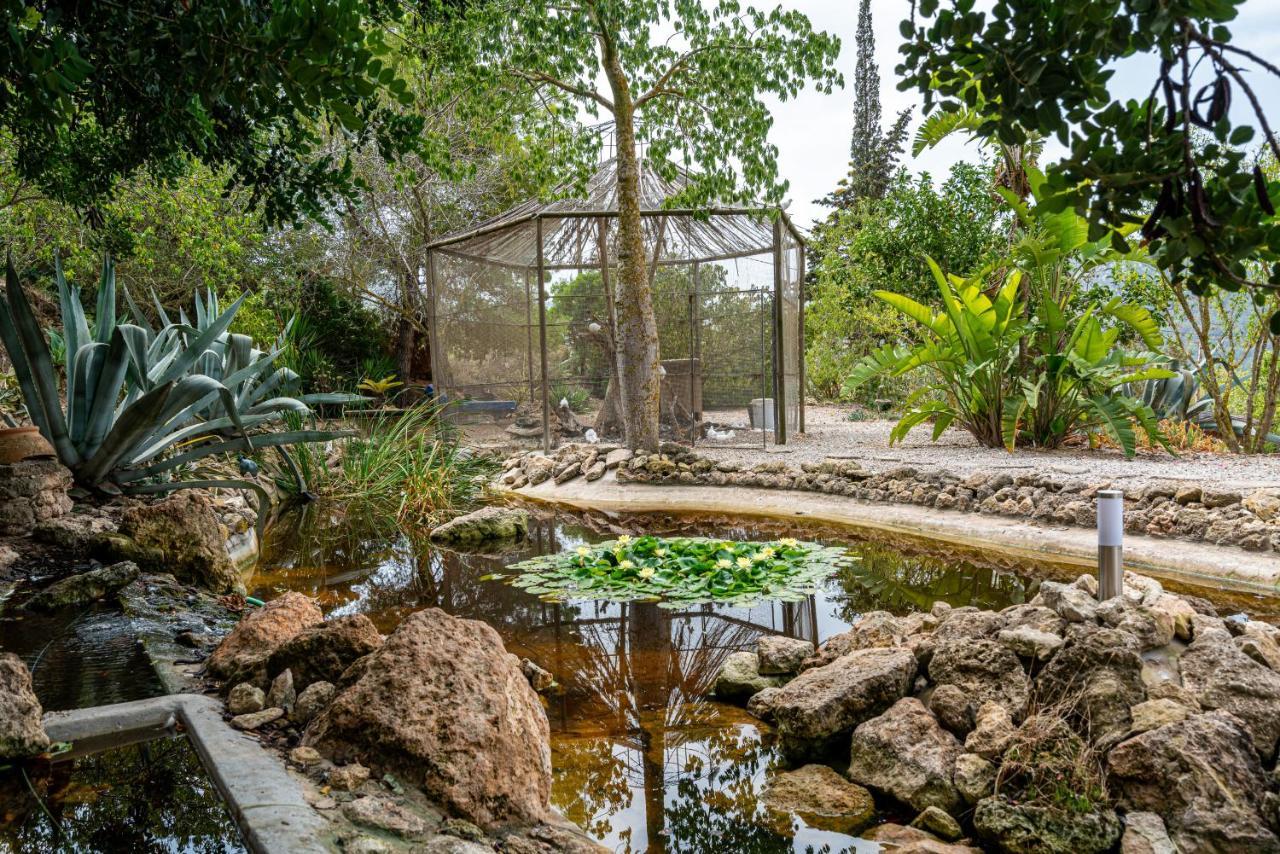 Robby's Ibiza Farm stay *