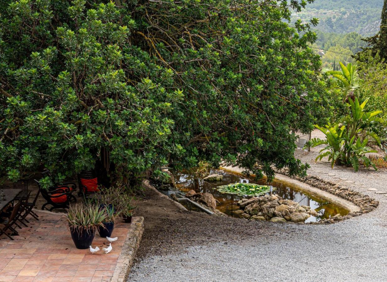 Robby's Ibiza Agroturismo *