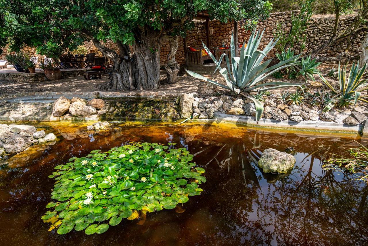 Robby's Ibiza Farm stay *