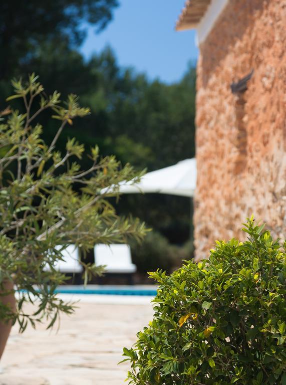 Guillem Farm stay *