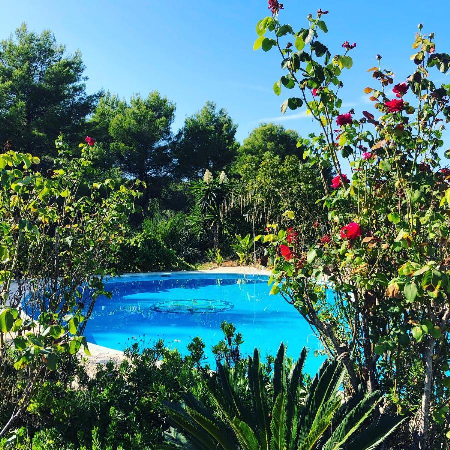 Toni Miqueli Villa Santa Gertrudis (Ibiza)
