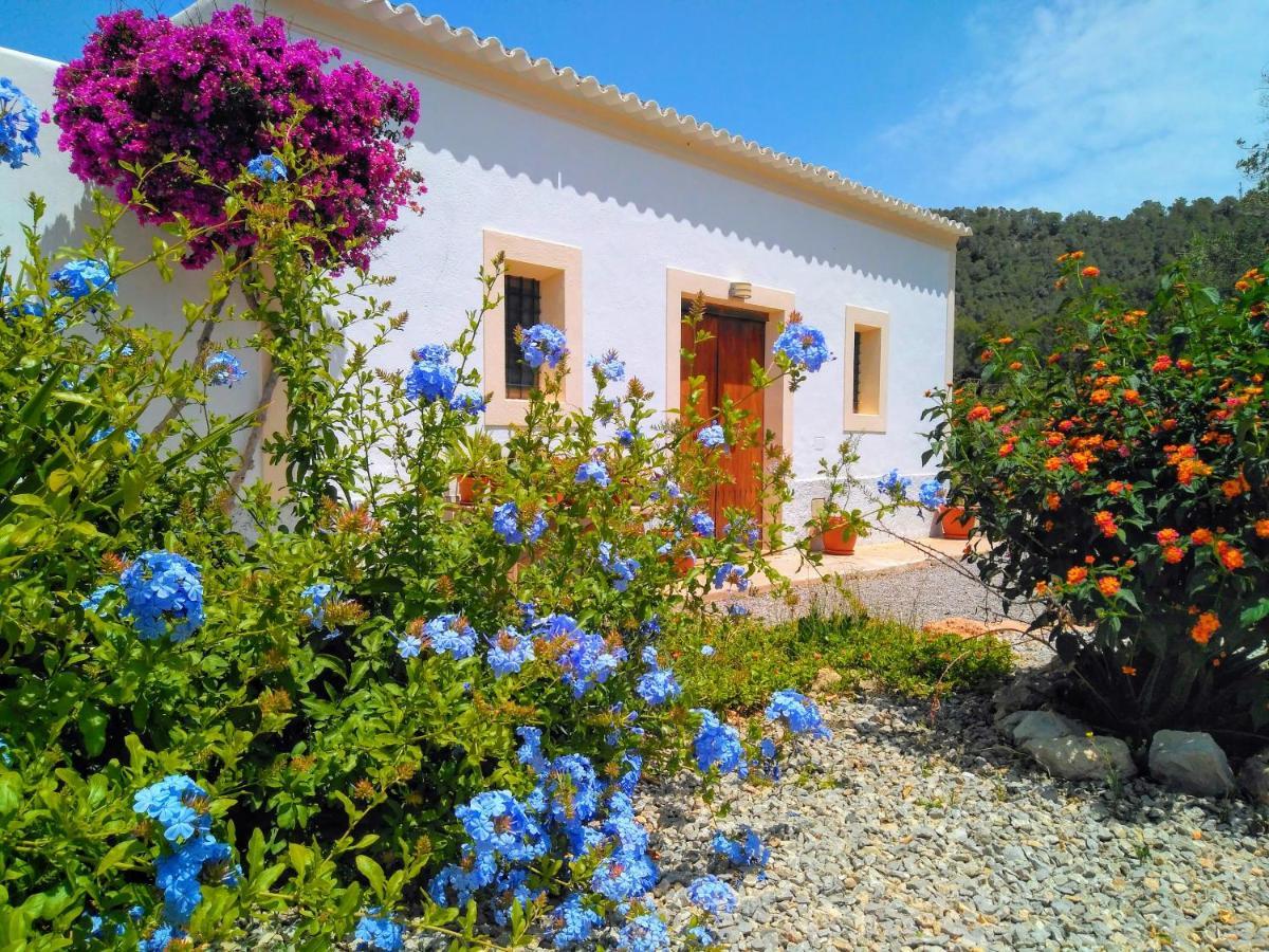 Ferienhaus Pep Pardal Sant Miquel de Balansat