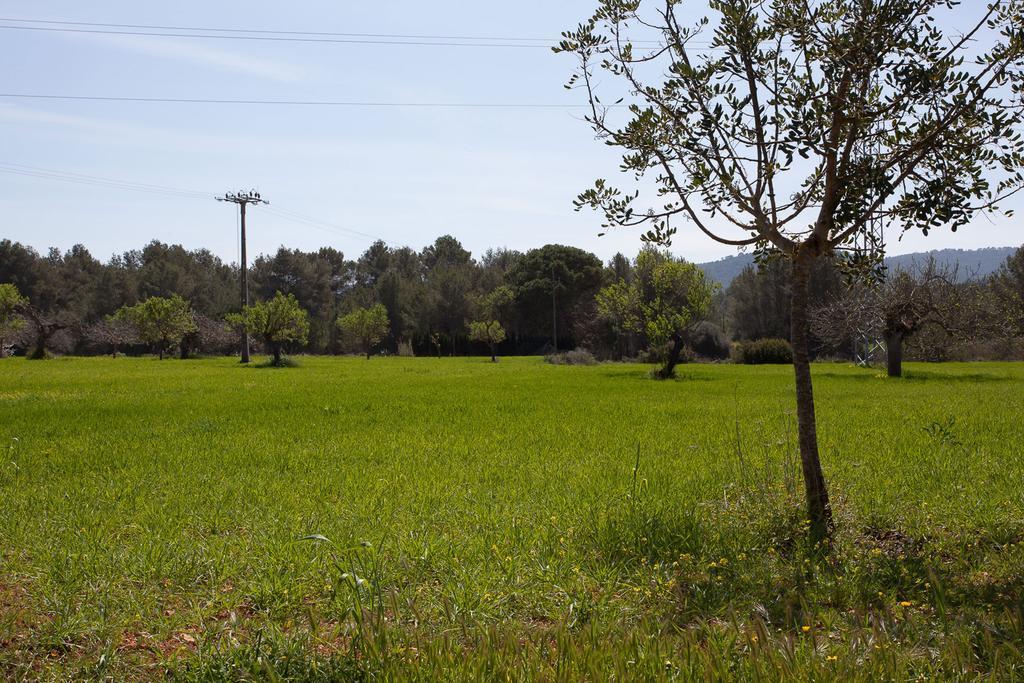 Hort Den Pilot Villa
