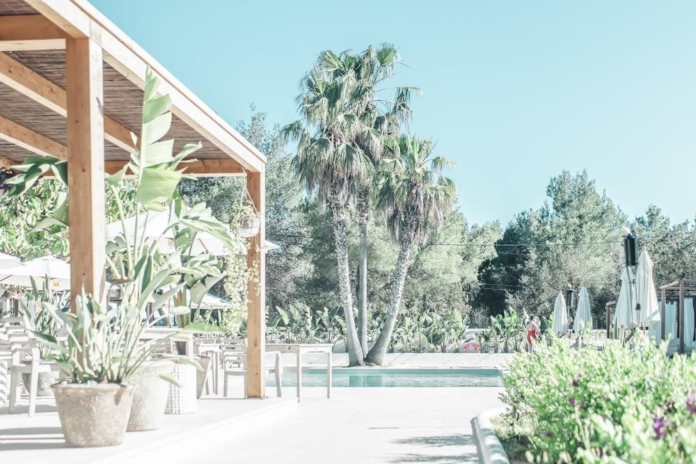 Boutique & Mimosas Ibiza (adults Only) San Antonio (Ibiza)