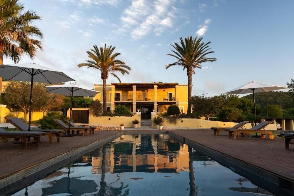Mariposas Ibiza