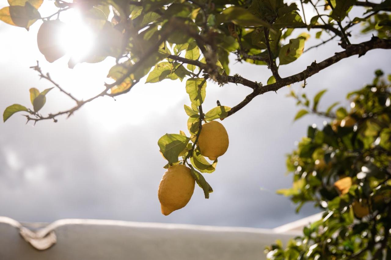 Holiday home Rotes Con Jardin Y Barbacoa Sant Joan De Labritja
