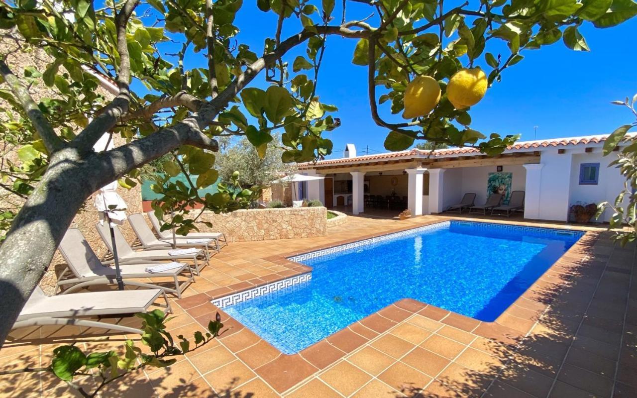 Palmera Villa *