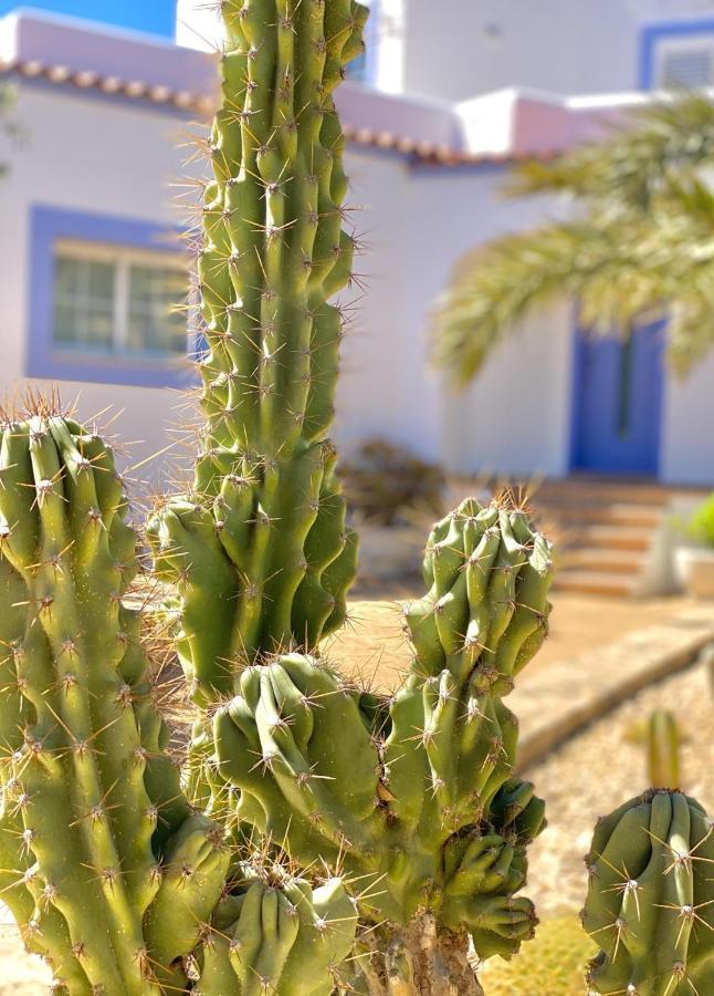Villa Palmera Sant Jordi de ses Salines