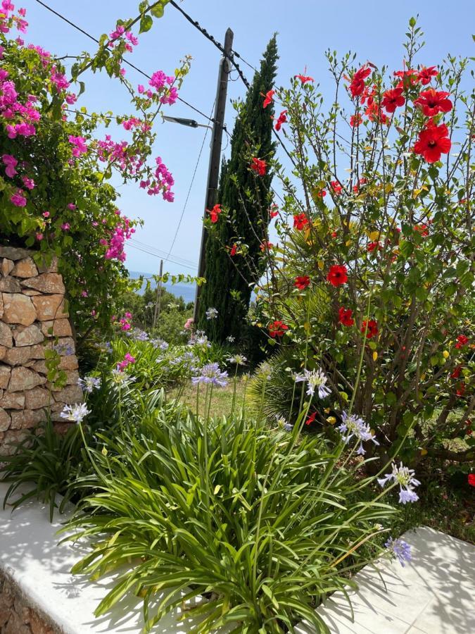 Es Queixal - Can Canet Ferienhaus Cala Vadella (Ibiza)