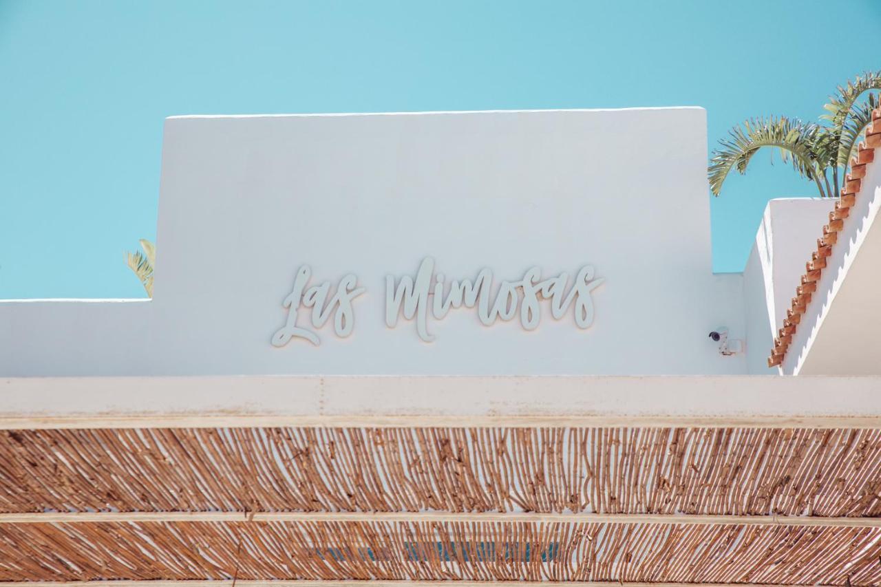 Boutique & Mimosas Ibiza (adults Only) Hotel