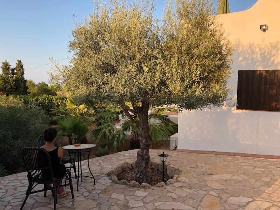 Casa En Ibiza Con Vistas Increibles En Holiday home Es Figueral