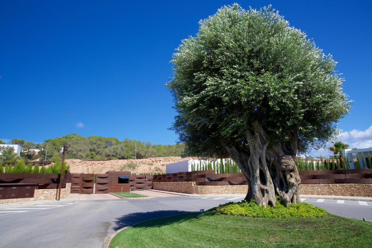 Contemporary Ibizan Villa Cala Conta Dream Short Walk To Beach San Jose Villa Cala Comte