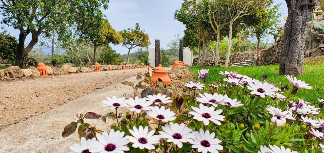 Marquet - Adults Only 3* Santa Gertrudis (Ibiza)