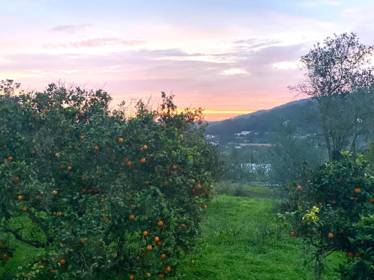 Country House With Private Pool * Sant Josep de sa Talaia