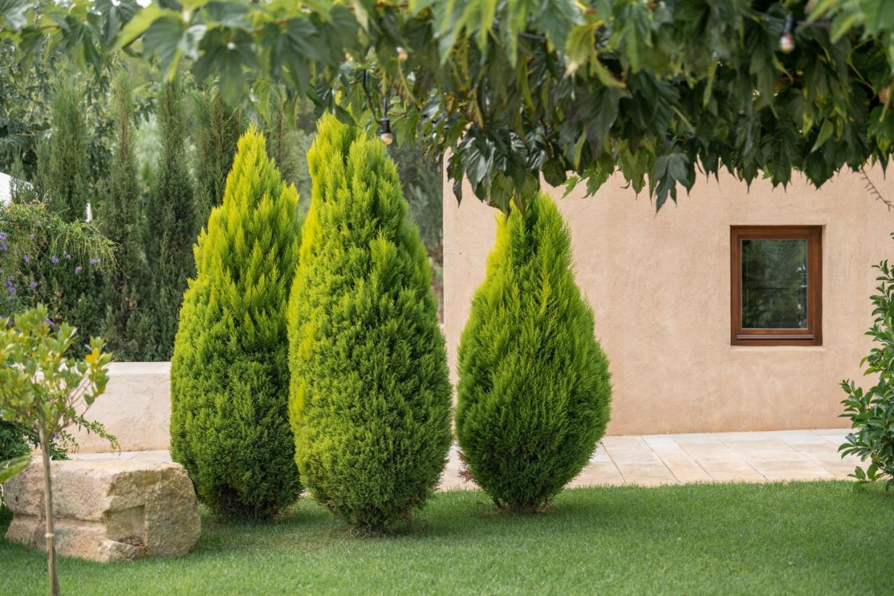 Safragell Ibiza & Vakantieboerderij Sant Llorenc de Balafia