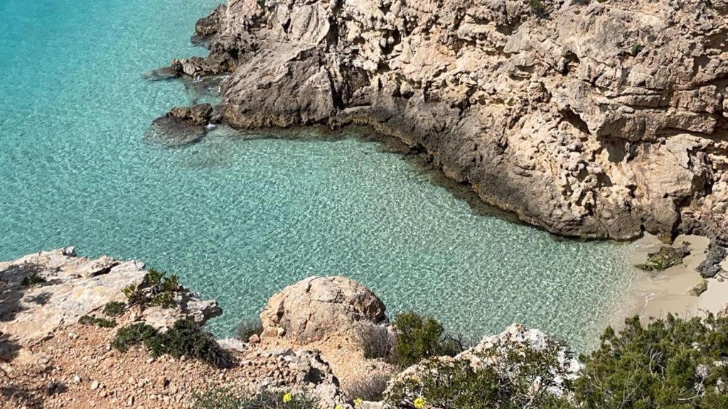 Ibiza Palmeral Apartment