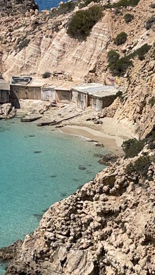 Ibiza Palmeral Cala Tarida (Ibiza)