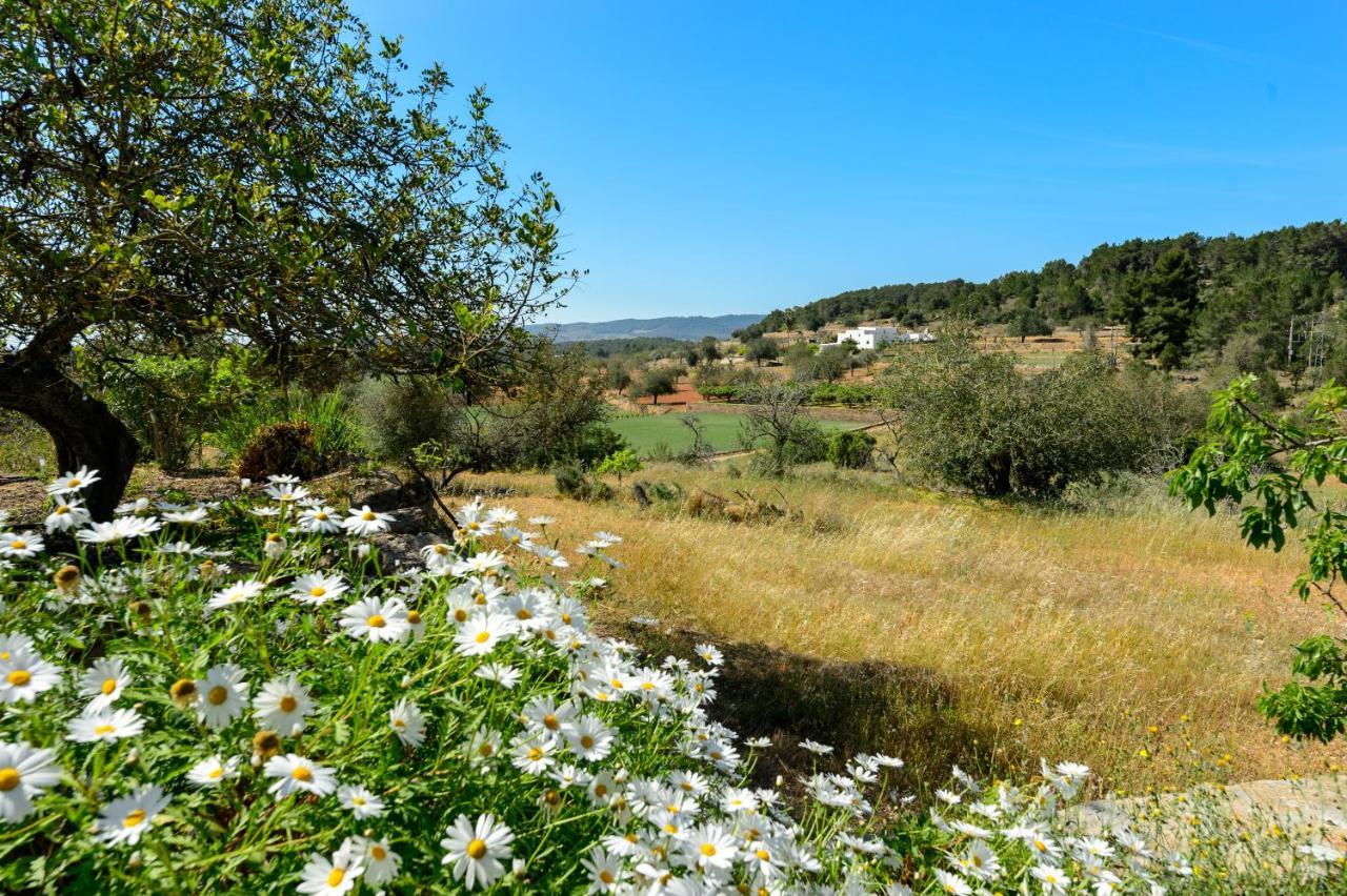 Pep D'en Puig Villa Sant Mateu d'Albarca