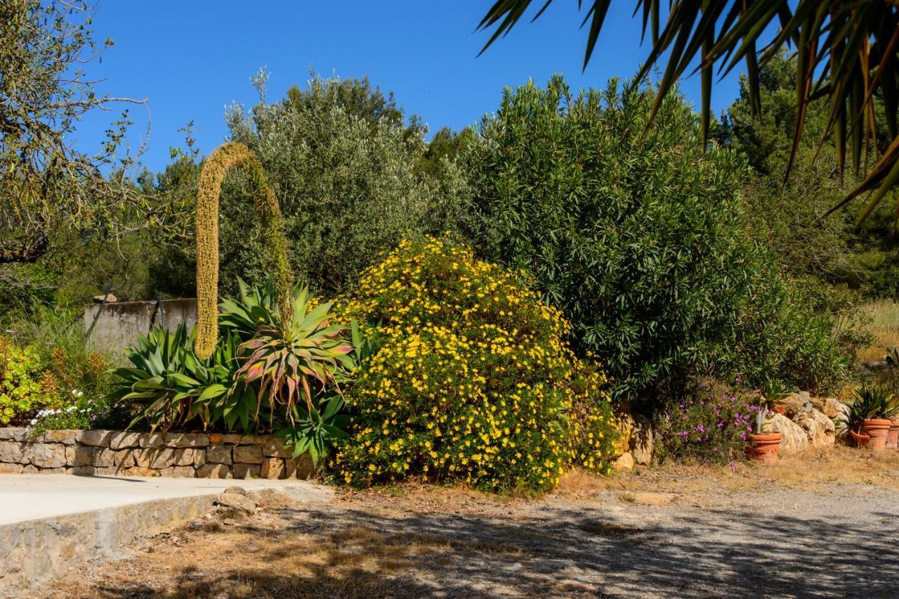 Pep D'en Puig Villa *