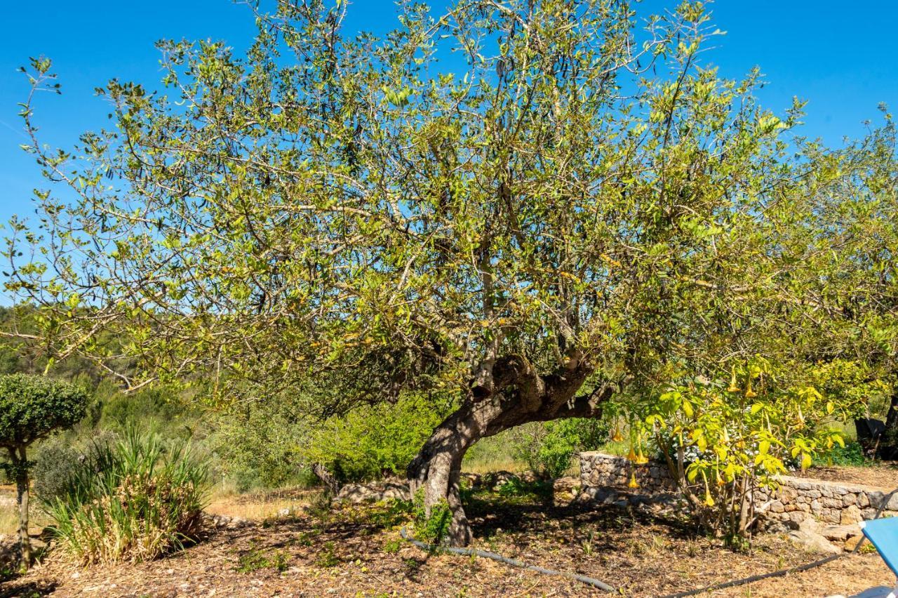 Villa Pep D'en Puig Sant Mateu d'Albarca