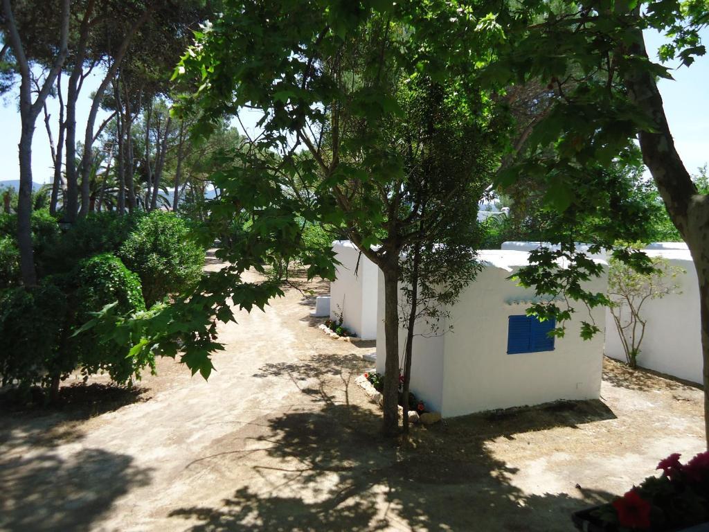 Camping San Antonio * San Antonio (Ibiza)