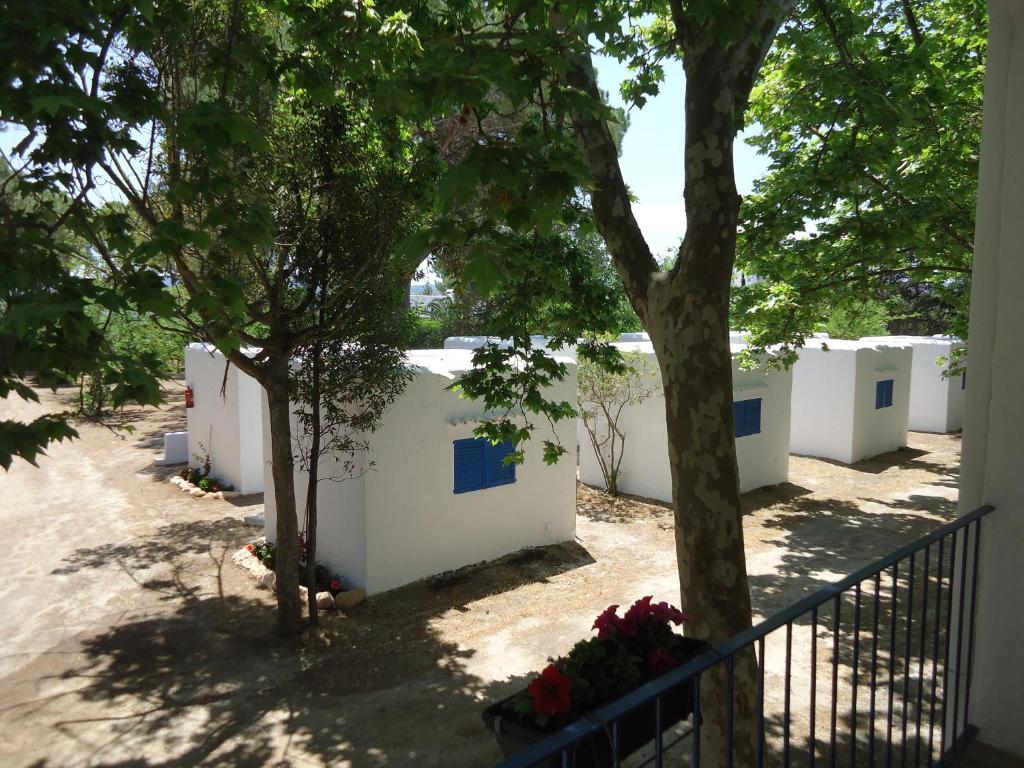 Camping San Antonio *