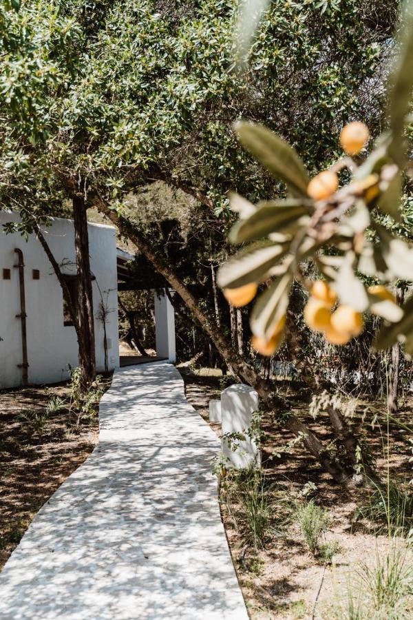 Vistabella Boutique * San Antonio (Ibiza)