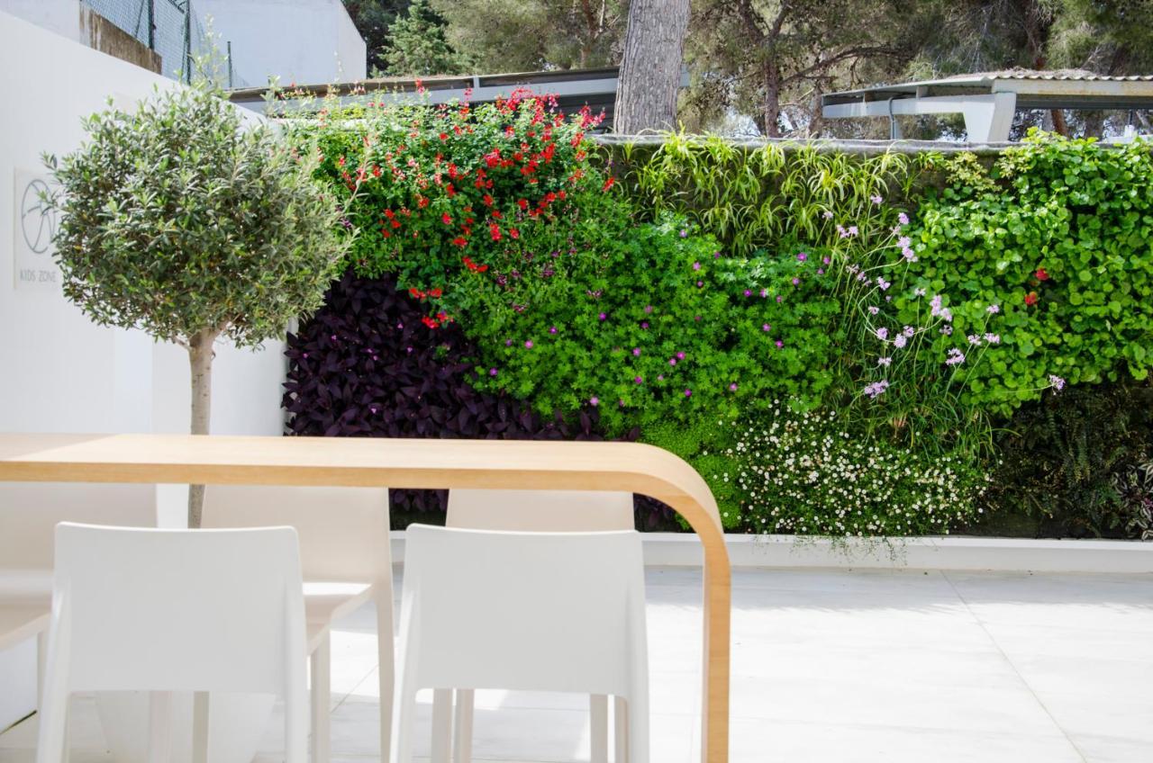 Anfora Ibiza Hotel Es Canar (Ibiza)