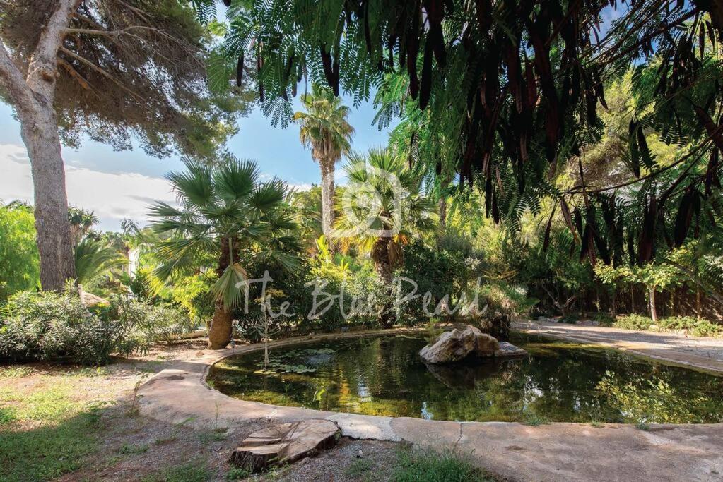 Villa Casona Morna, By The Blue Pearl Santa Eulària des Riu