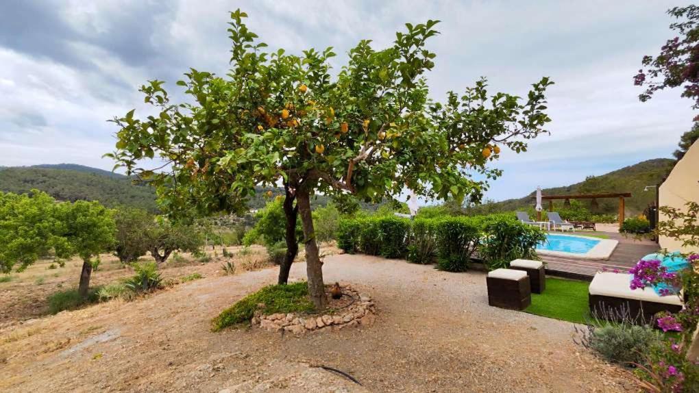 Pep De San Plana Country house Sant Josep de sa Talaia