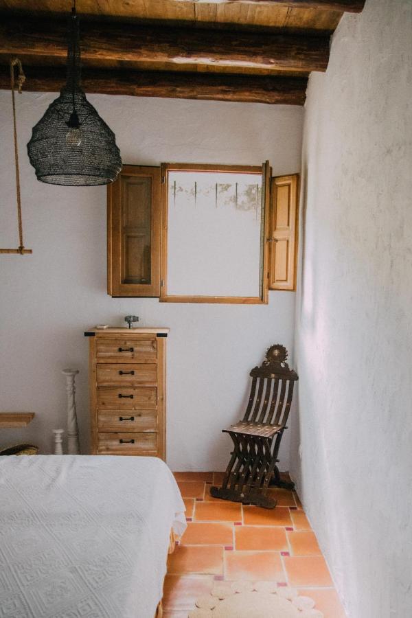 Mariposas Chácara San Antonio (Ibiza)