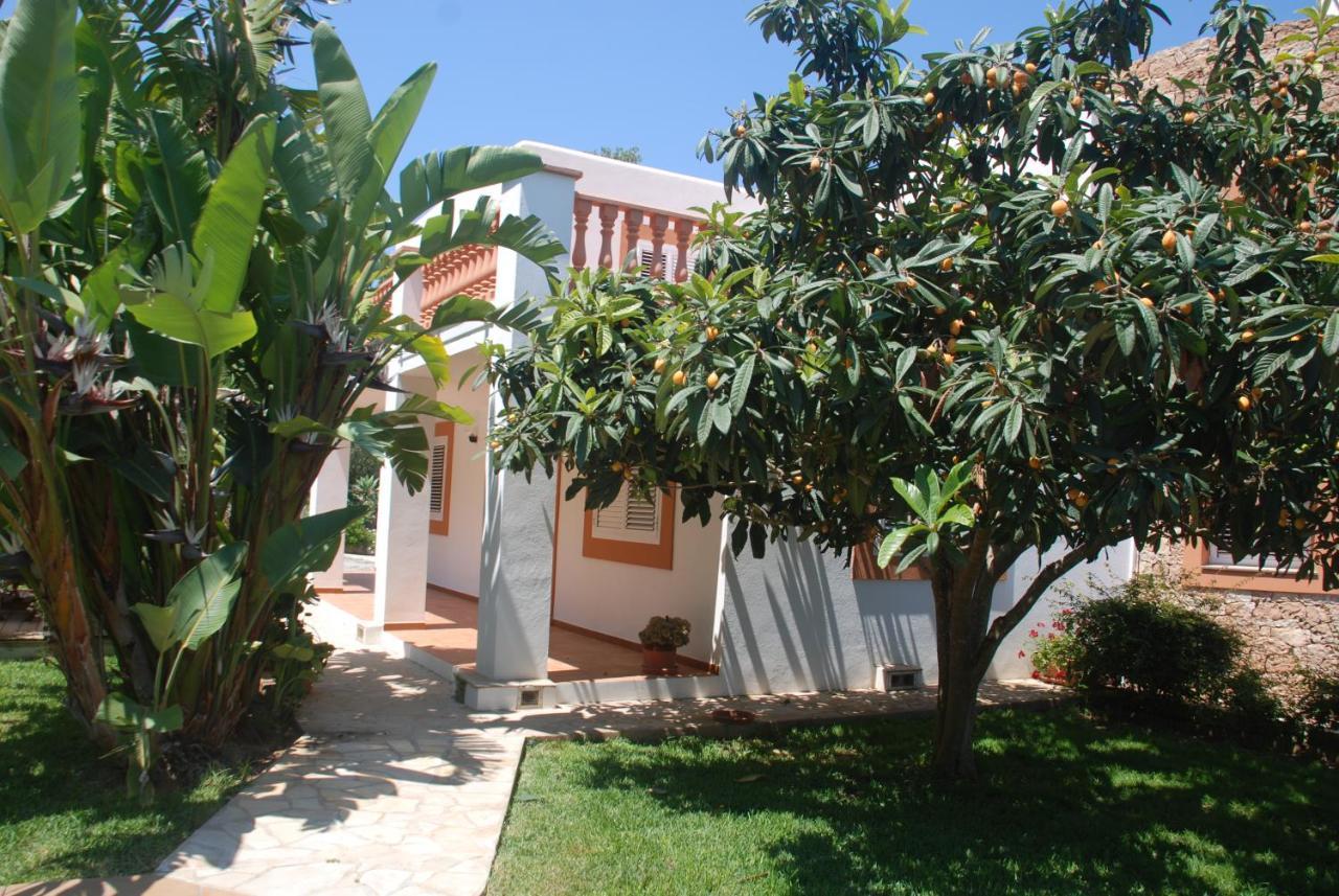 Villa Pinato *