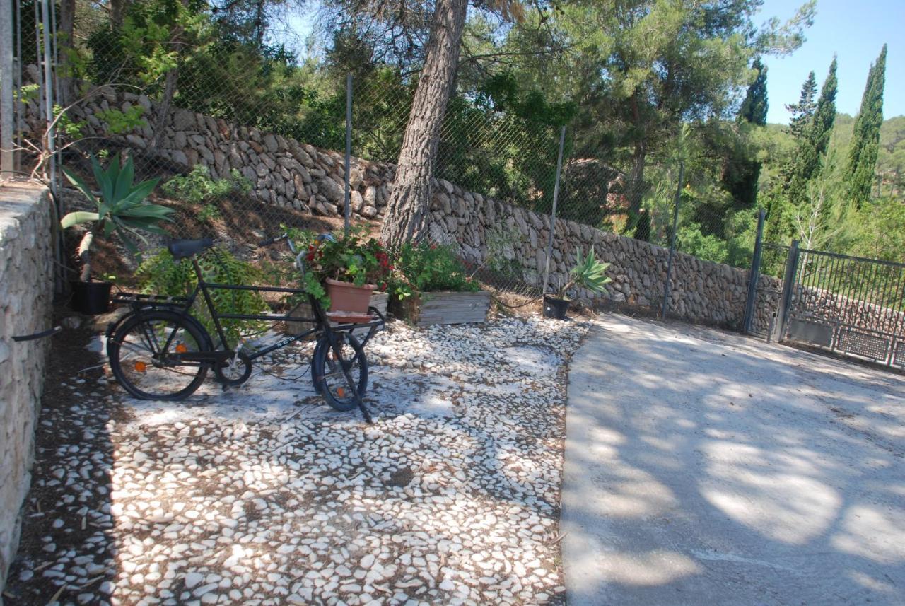 Villa Pinato *