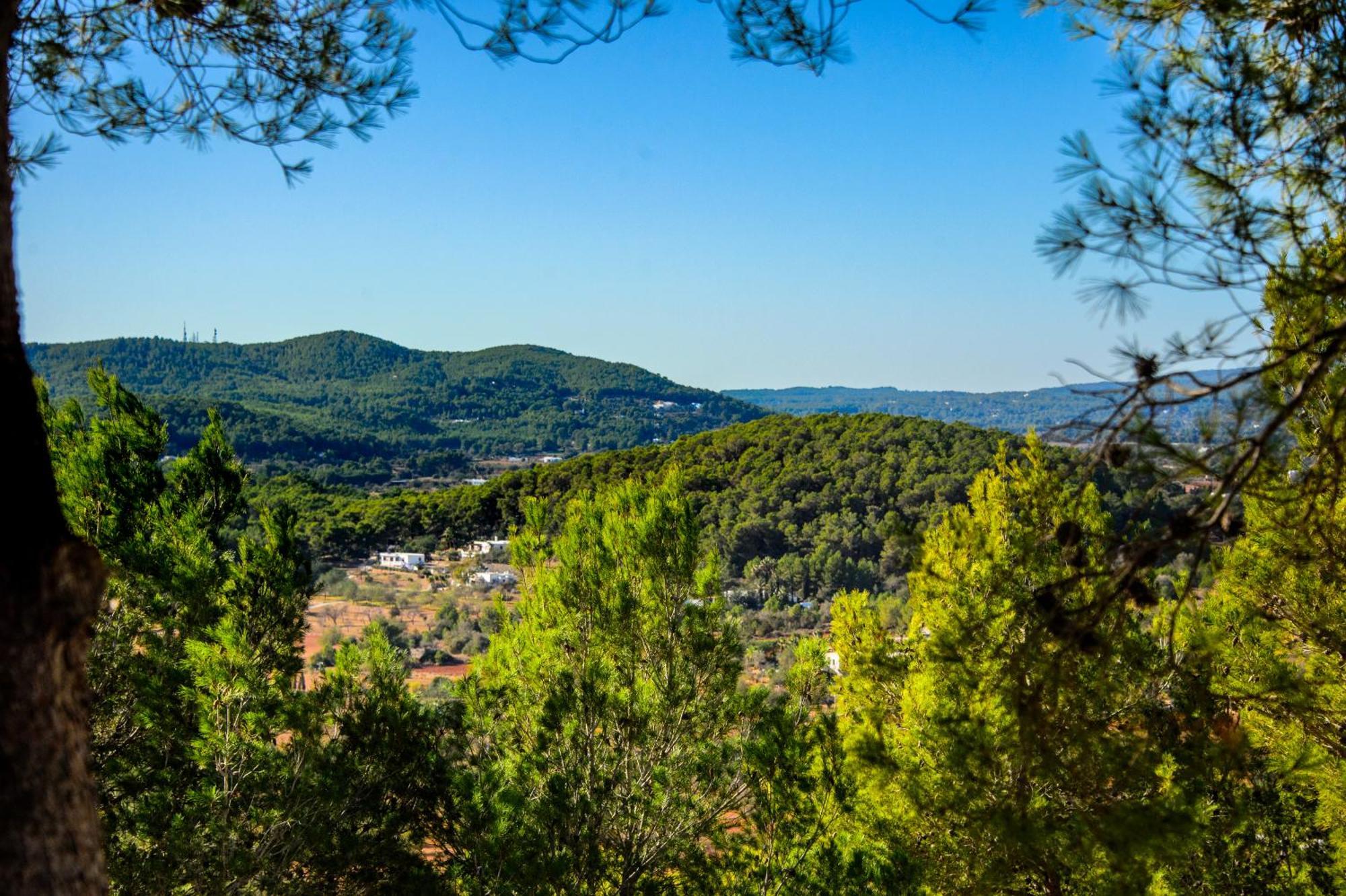 Mediterraneo * Sant Carles de Peralta