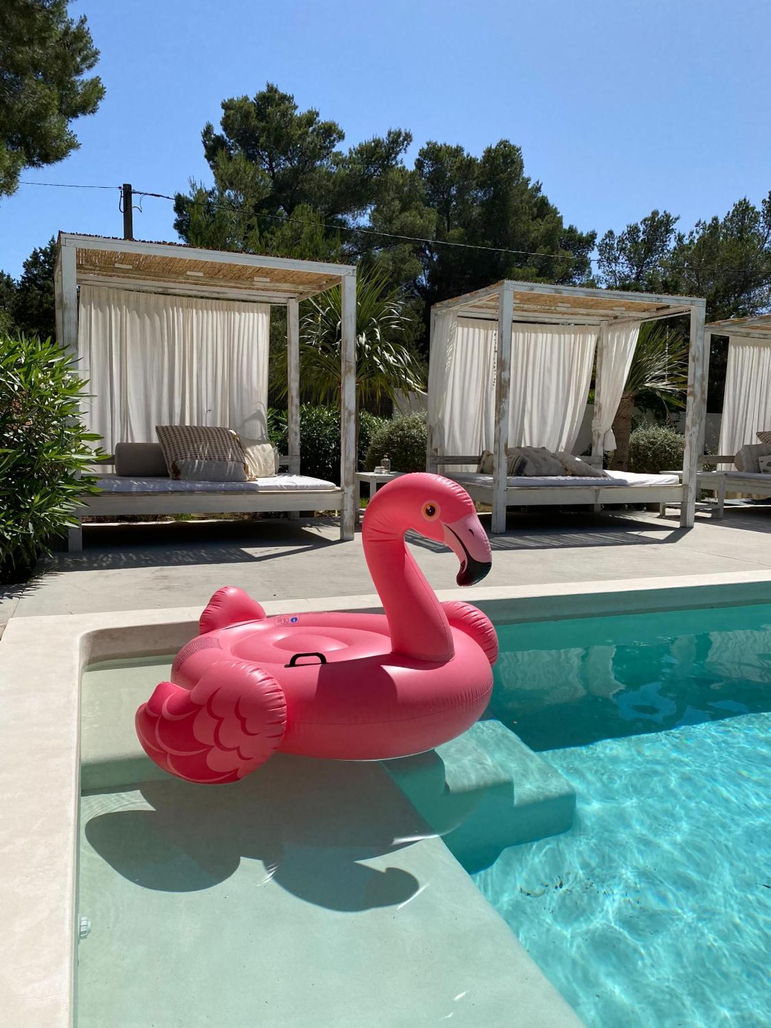 Apartment Boutique Casa Caracol - In Strandnaehe, Salzwasserpool, Fotovoltaik, Adults Only