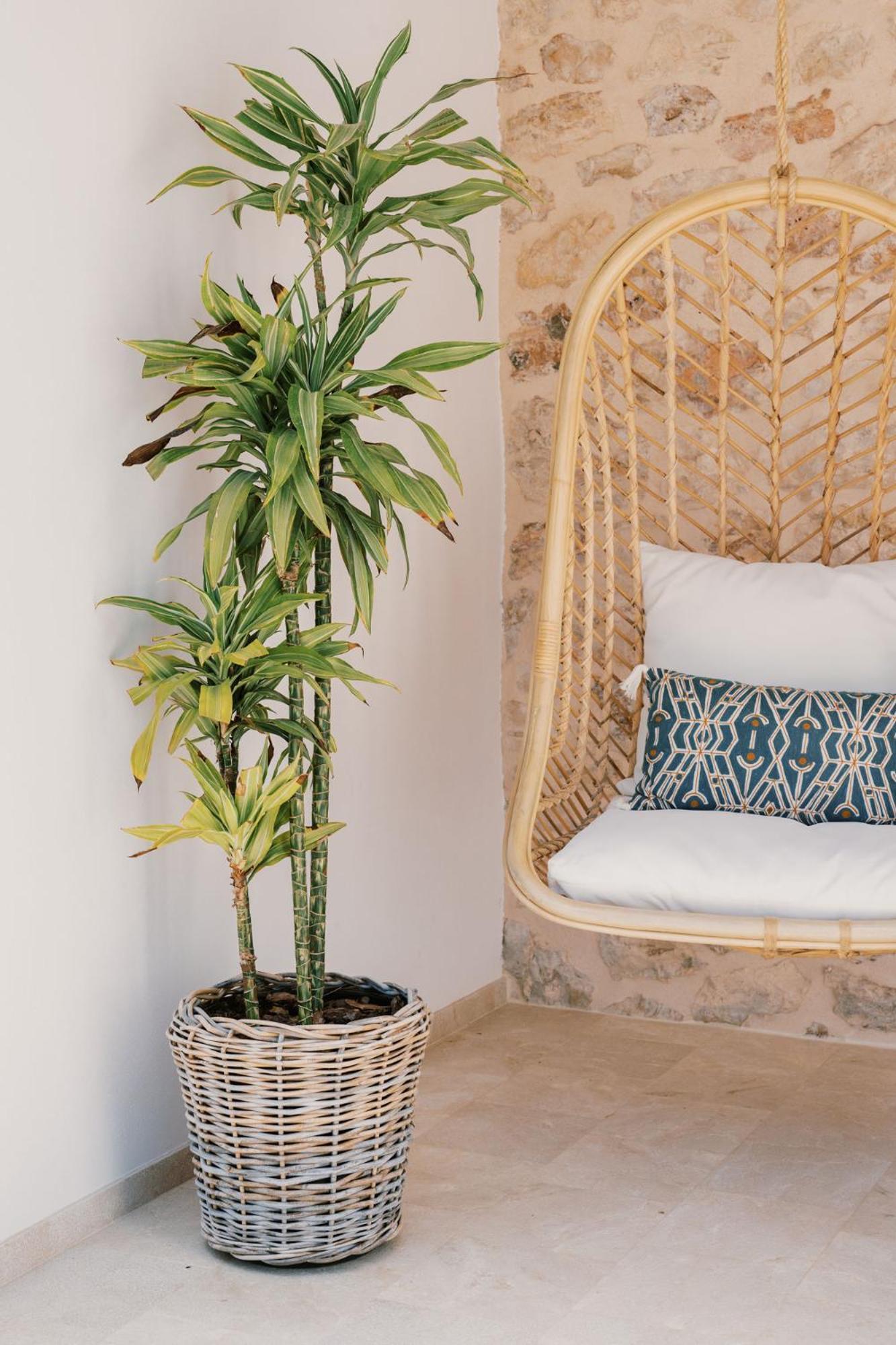 Villa Pep Gibert Ibiza Town
