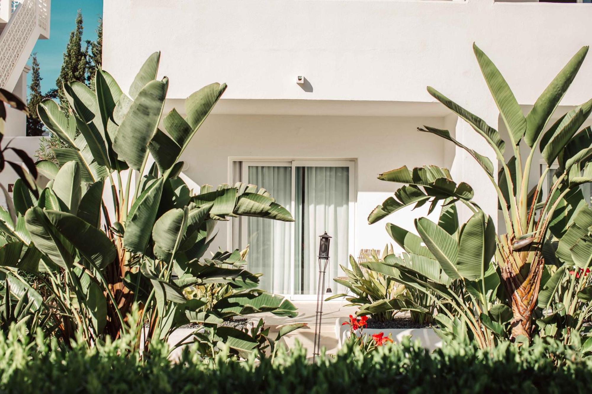 Hotel Boutique & Mimosas Ibiza (adults Only) San Antonio (Ibiza)
