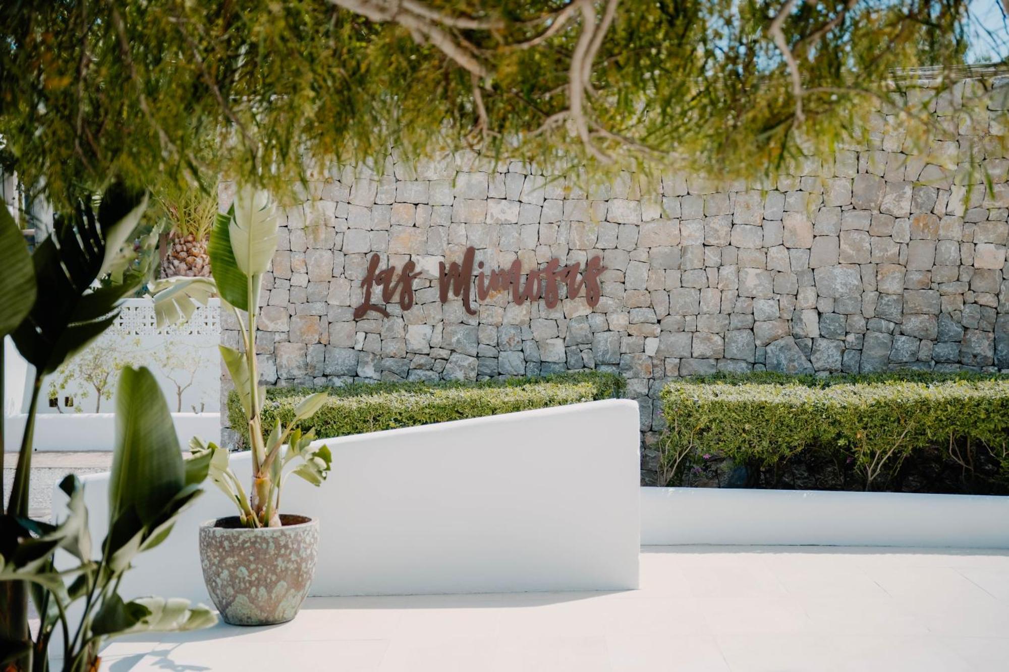 Boutique & Mimosas Ibiza (adults Only) Hotel San Antonio (Ibiza)