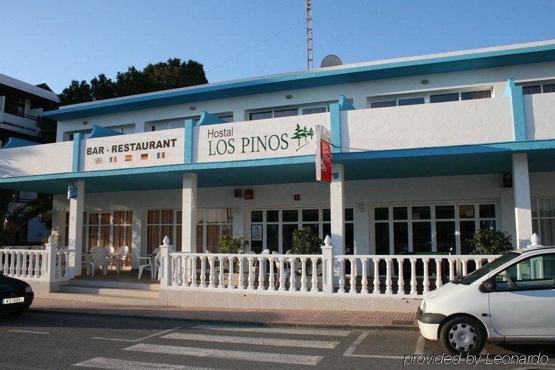 Los Pinos 2* Es Canar (Ibiza)
