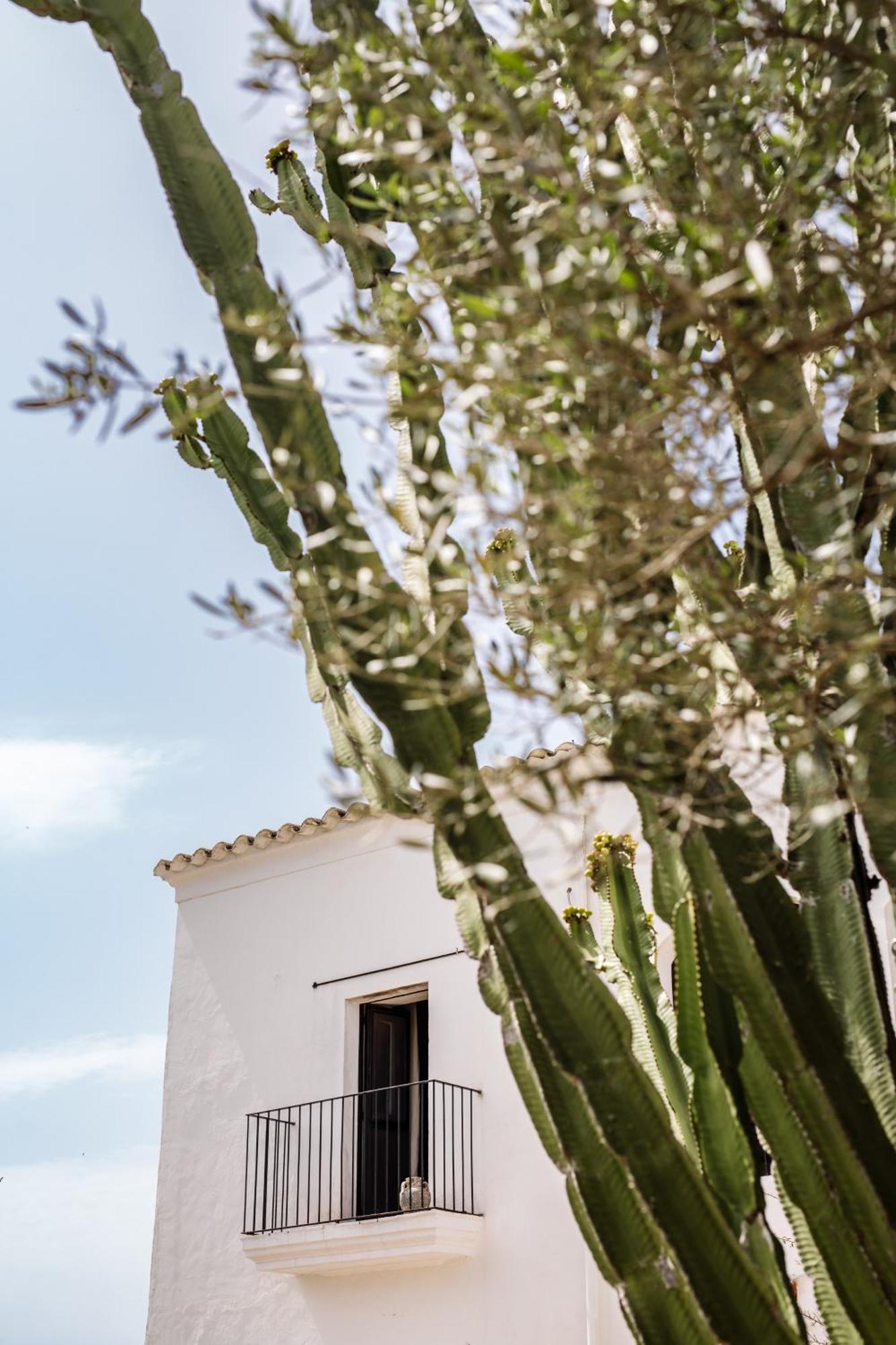 Legado Ibiza Santa Eulària des Riu