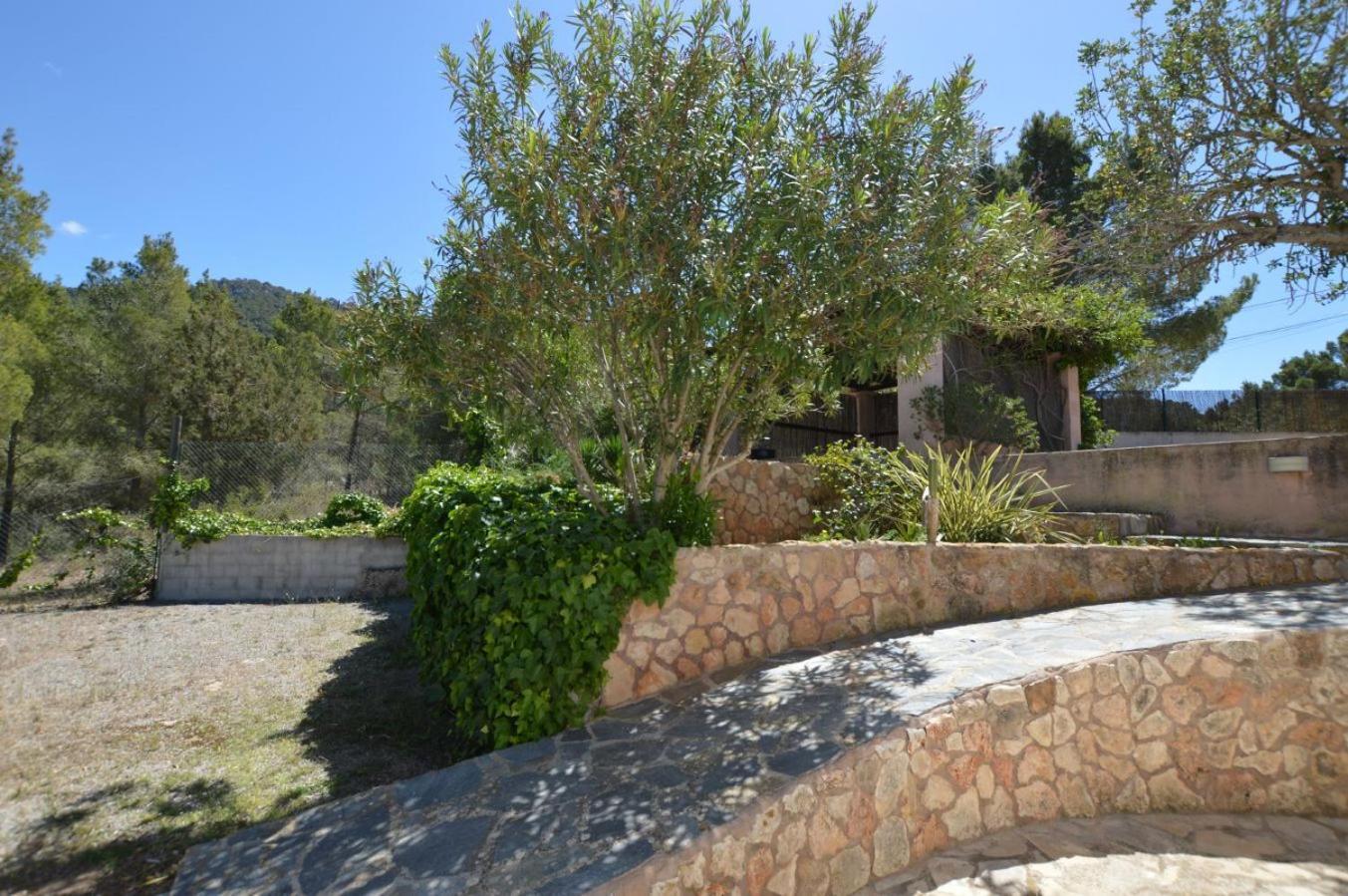 Grane Sant Josep de sa Talaia