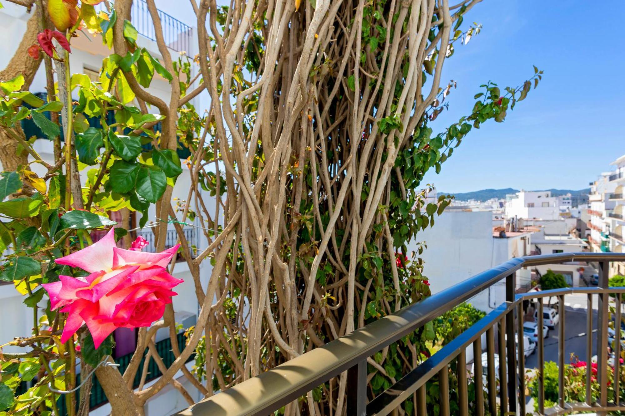 Guest house Manolita San Antonio (Ibiza)