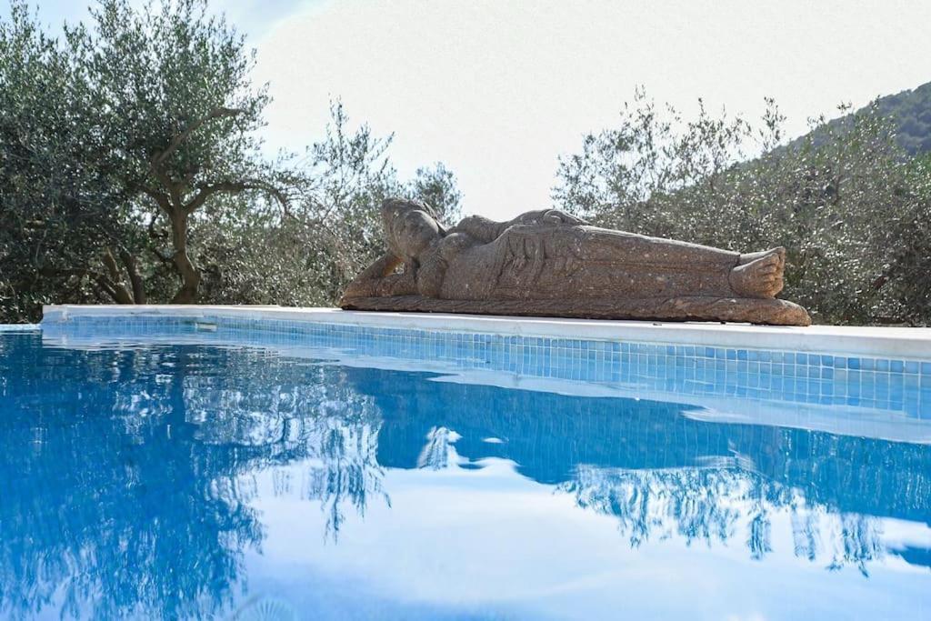 Ses Oliveres