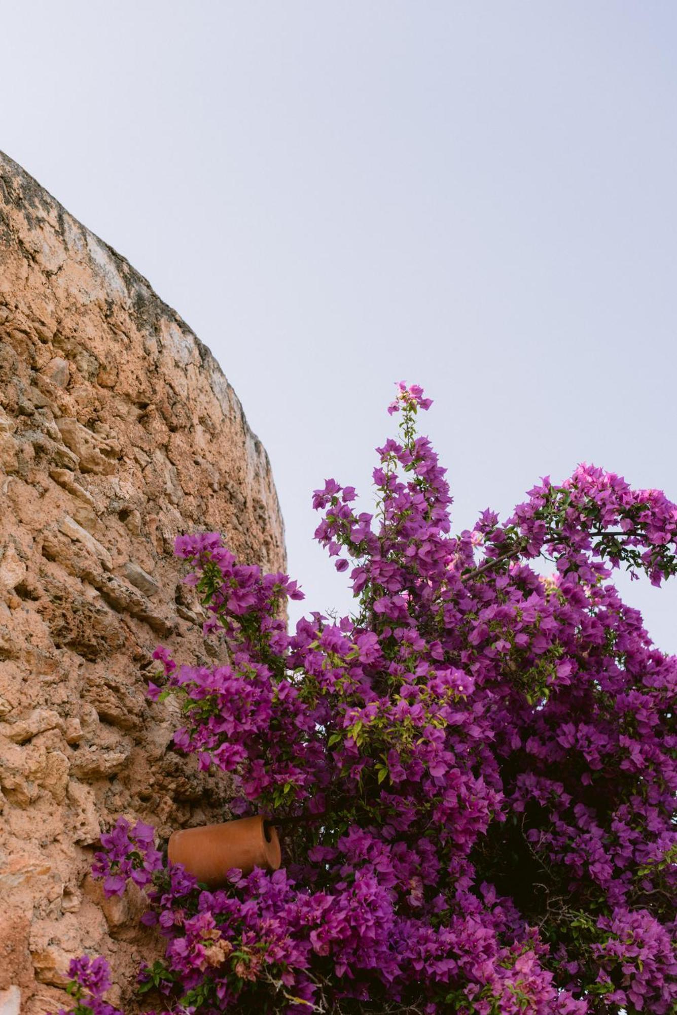 Quince Balafia Ibiza - Turismo De Interior Hotel