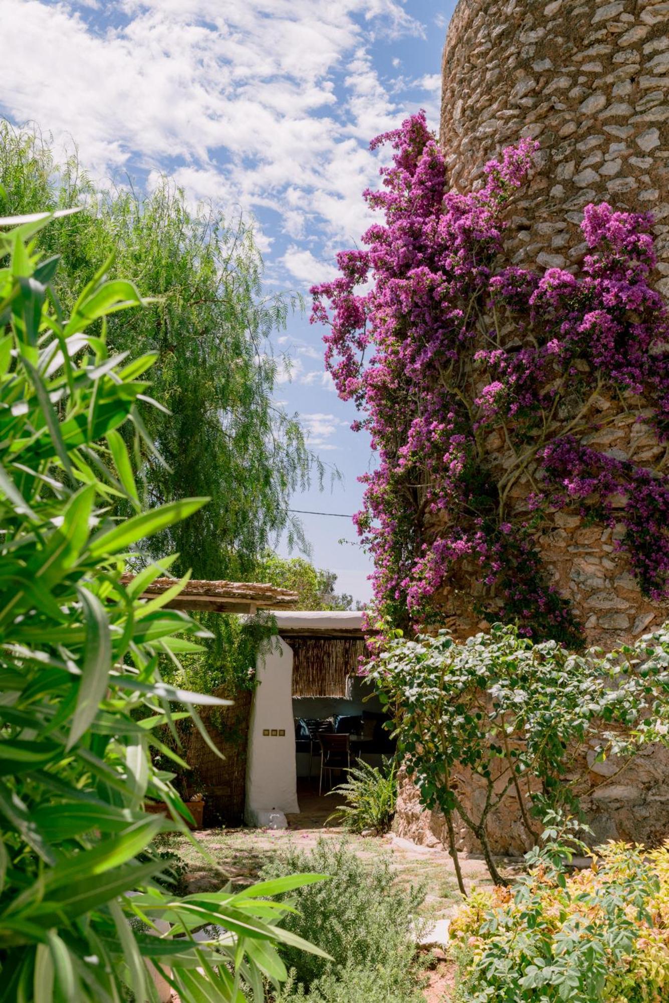 Quince Balafia Ibiza - Turismo De Interior Sant Llorenc de Balafia