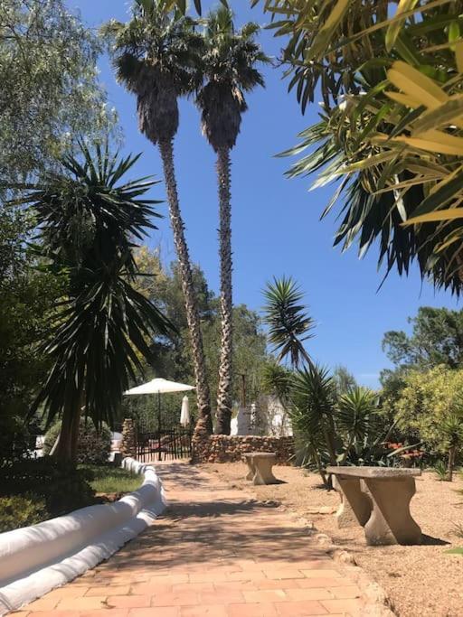 Casa Rosada - Gorgeous Family Finca Near Santa Gertrudis Holiday home *