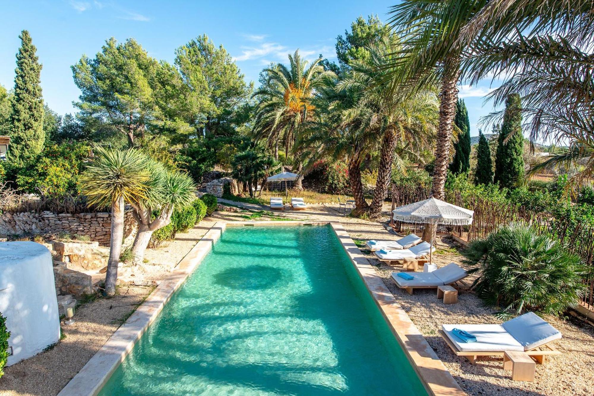 Savi Ibiza * Montecristo