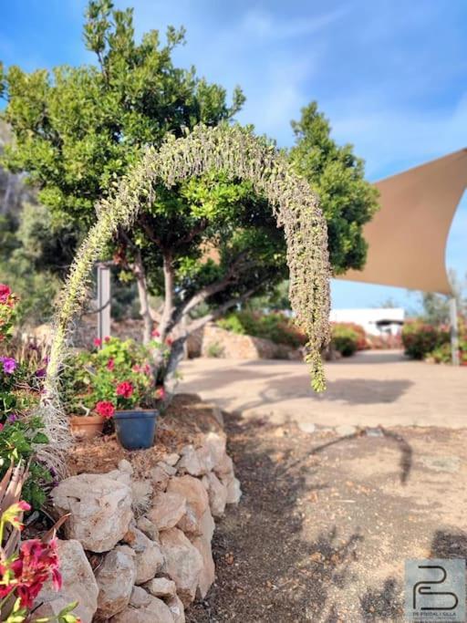Casa Lluc Con Piscina, Jardin Y Vista Al Campo