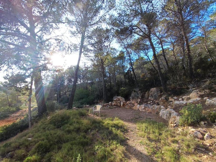 Casa Lluc Con Piscina, Jardin Y Vista Al Campo Ferienhaus Sant Miquel de Balansat