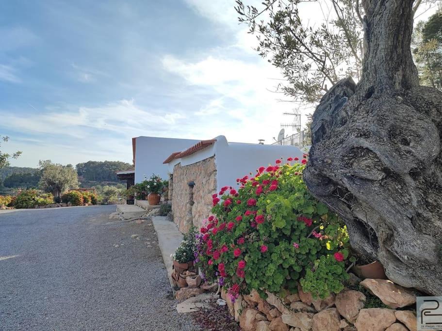 Casa Lluc Con Piscina, Jardin Y Vista Al Campo *